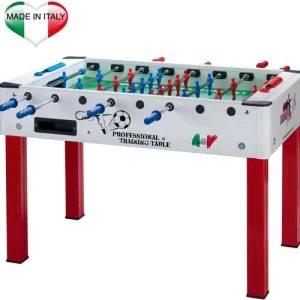 PROFESSIONAL TRAINING