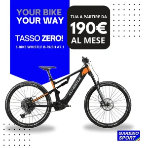 E-BIKE Whistle B-Rush A7.1