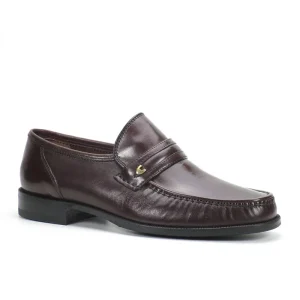 Complojer 786 Bordeaux