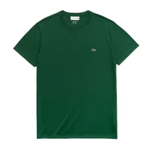 T-shirt Classic In Pima Uomo Verde Smeraldo
